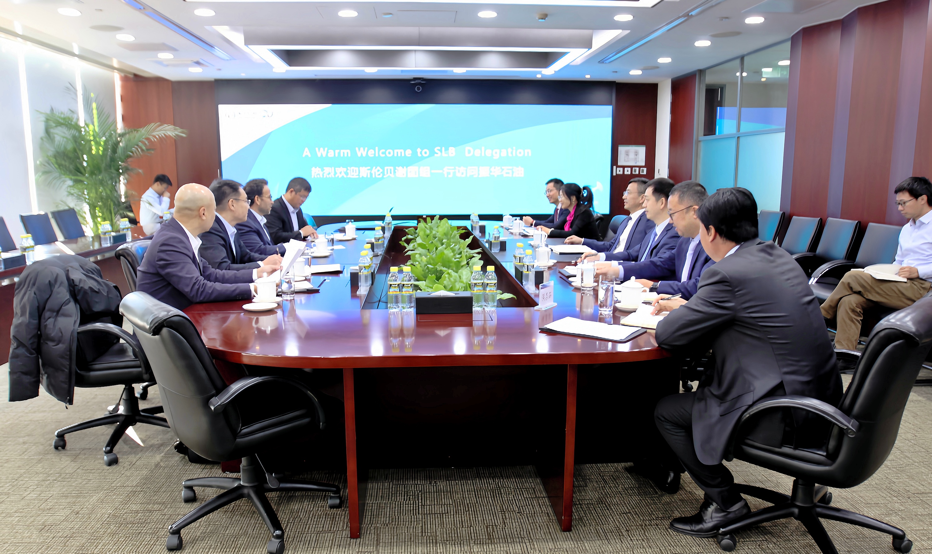 Lu Lize Meets Schlumberger Iraq Managing Director's Delegation